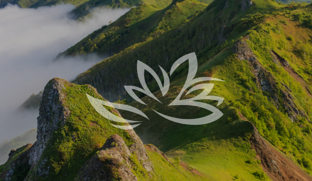 Сопровождение и техническая поддержка сайта корпорации Дальнего востока и Арктики